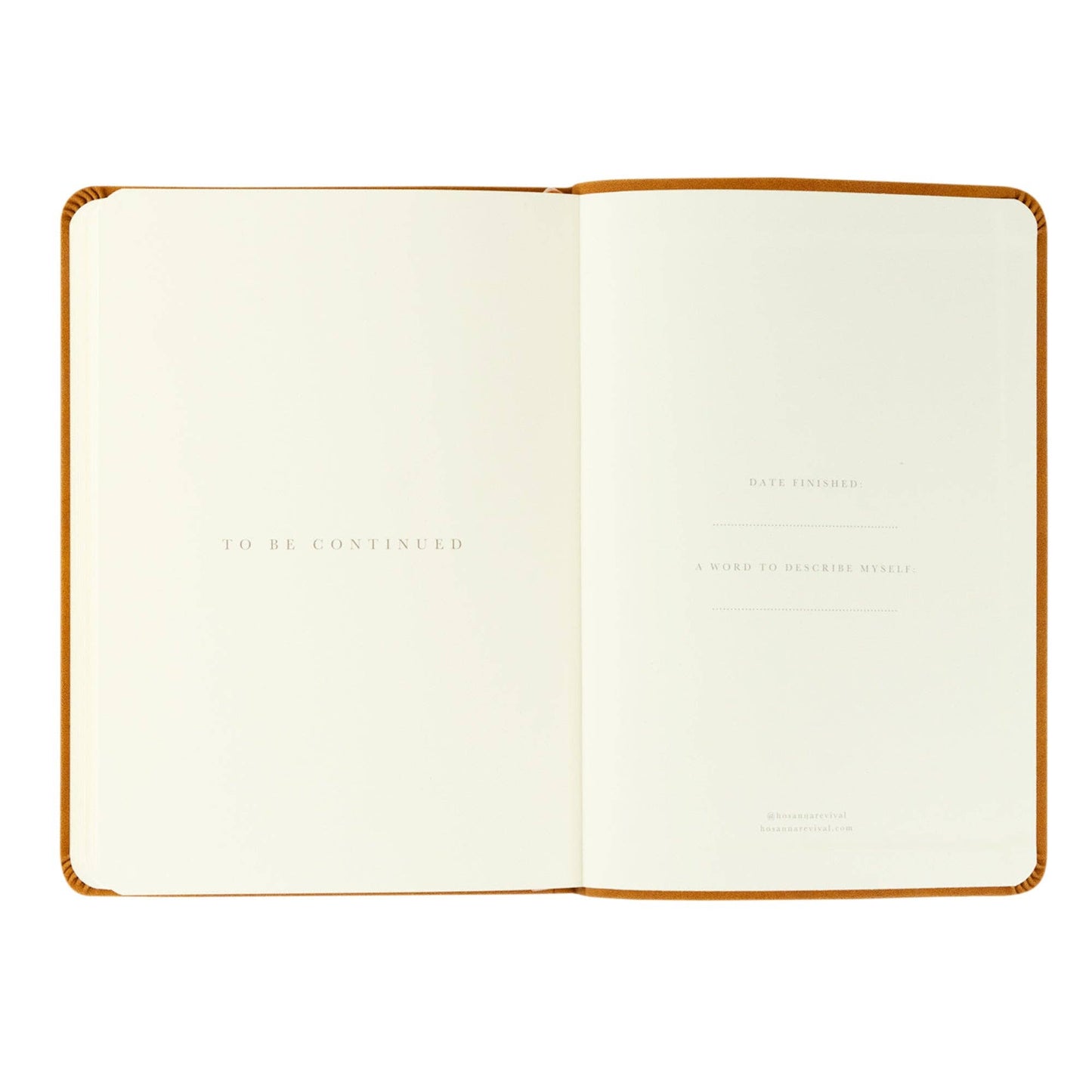 Notebook: Amelia Theme