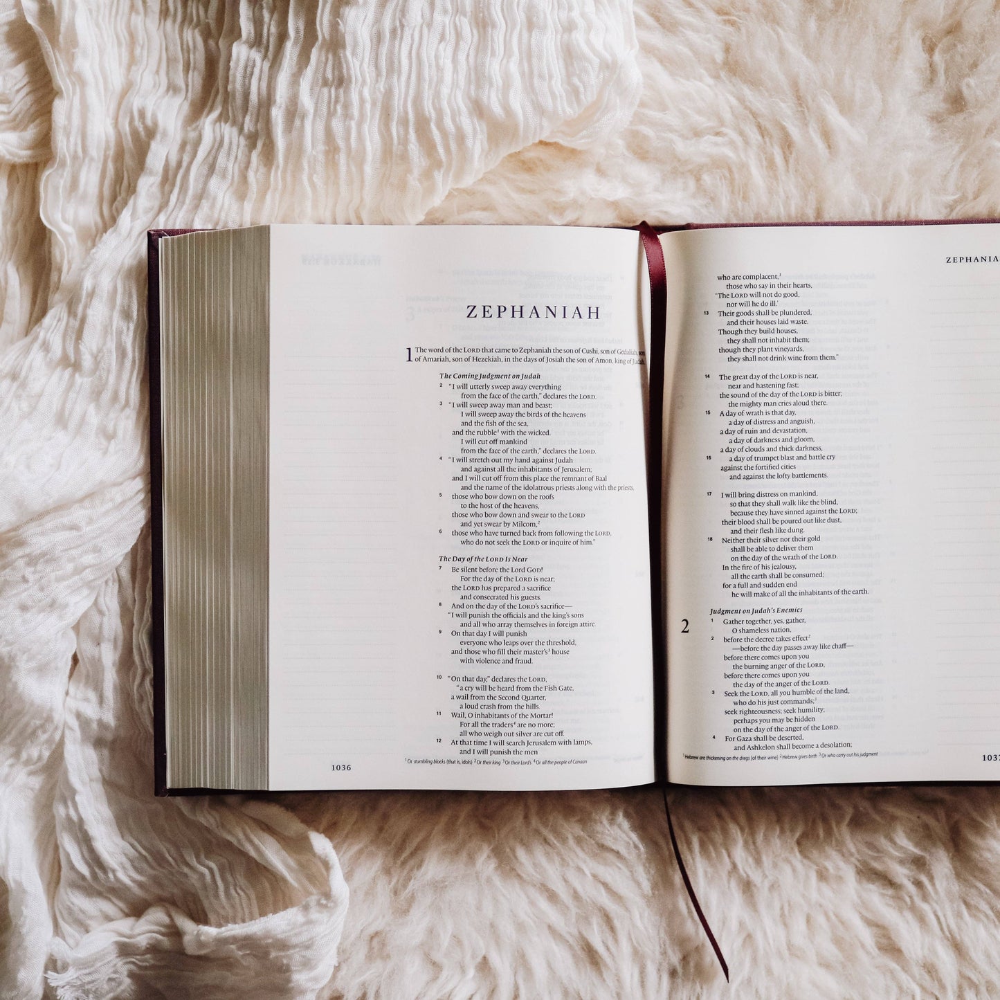 ESV Single Column Journaling Bible - Daily Grace Co.®