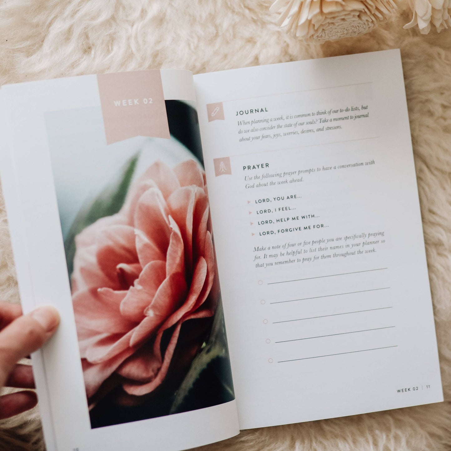 A 52-Week Guide to Help You Put God First