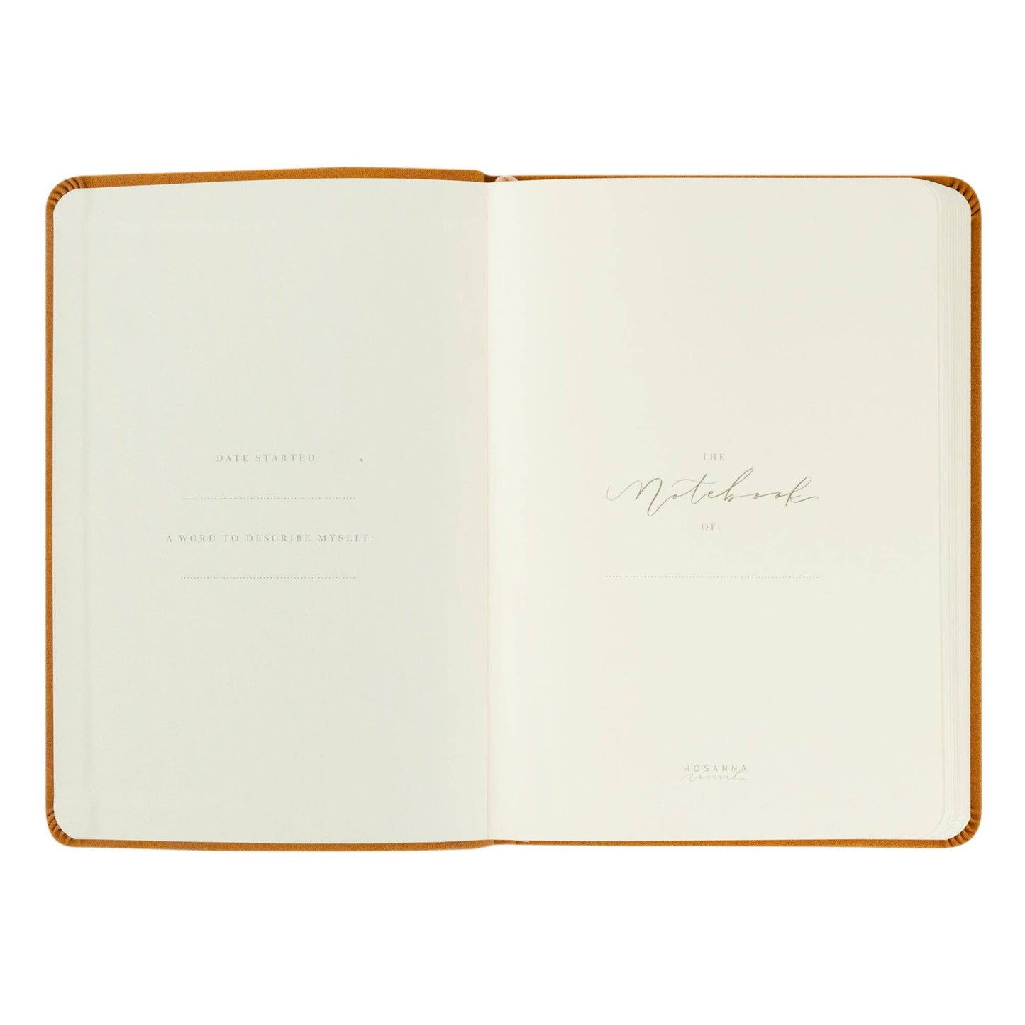 Notebook: Amelia Theme