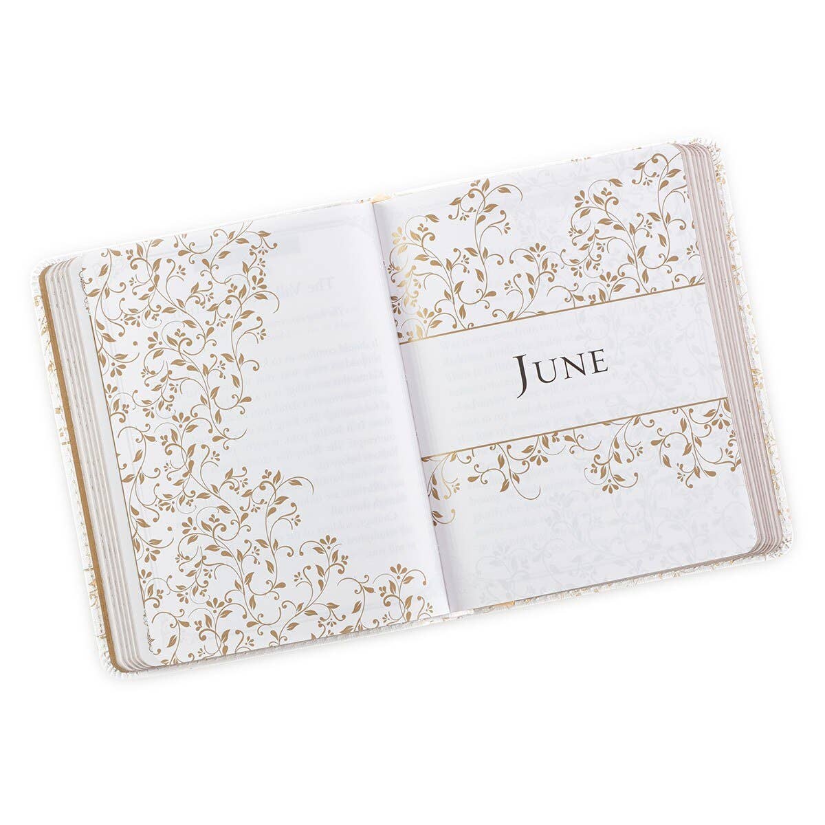 One-Minute Devotions Morning by Morning